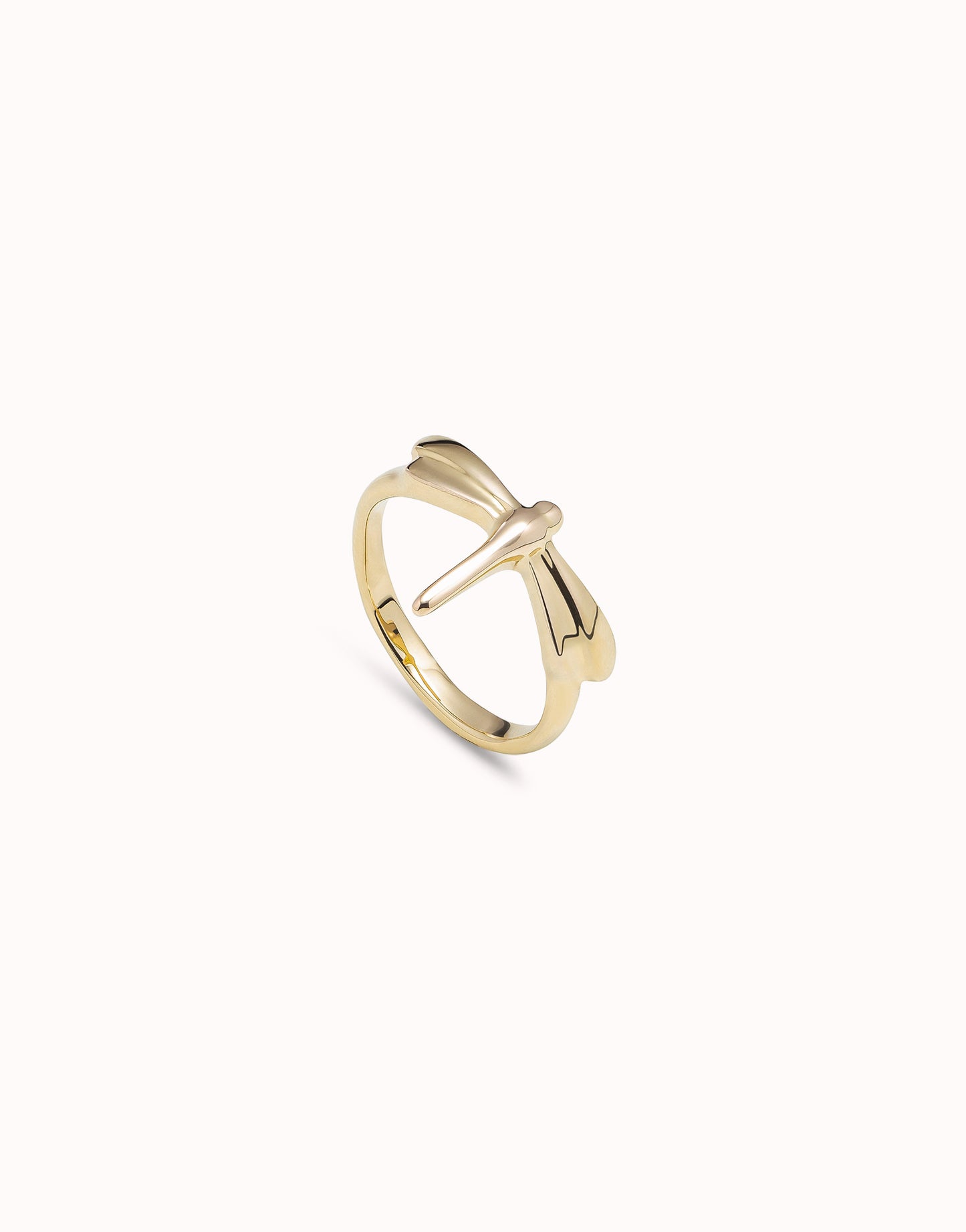 RING FORTUNE