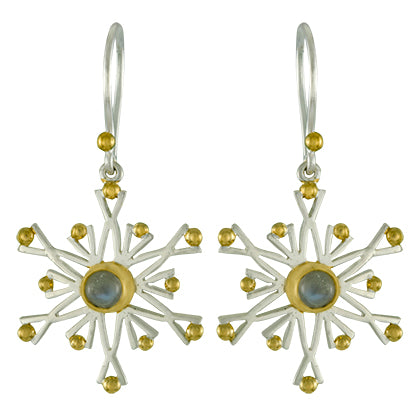 Sterling Silver and 22K Gold Vermeil Earring with Rainbow Moonstone