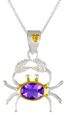 Sterling Silver and 22K Gold Vermeil Pendant with Amethyst